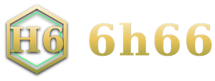 6h66 logo